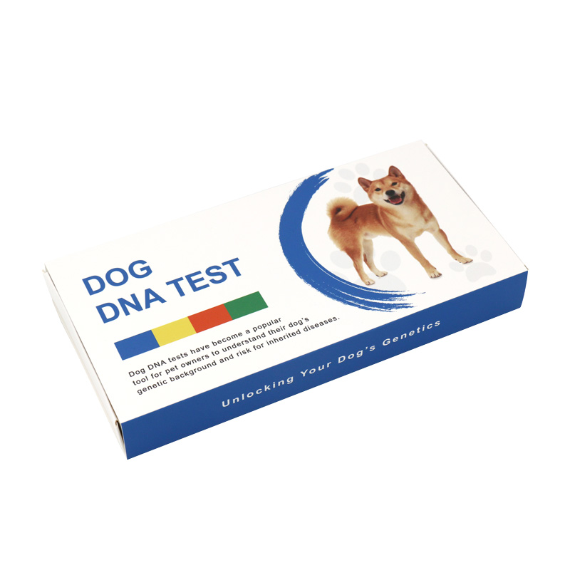 Le test ADN pour chien : pourquoi faire et par où commencer